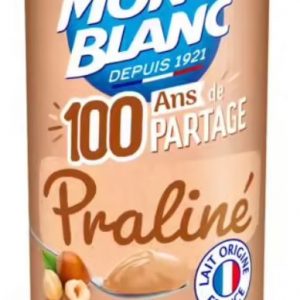 Mont Blanc crème dessert praliné 570g